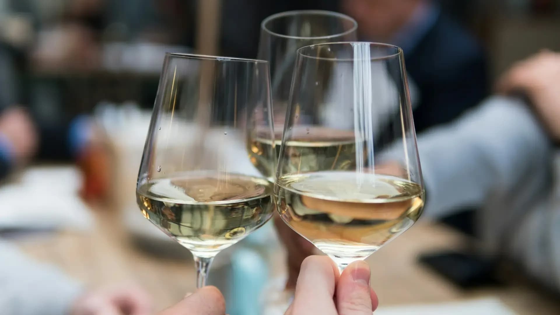 Best Wedding Toast Examples You Must Know